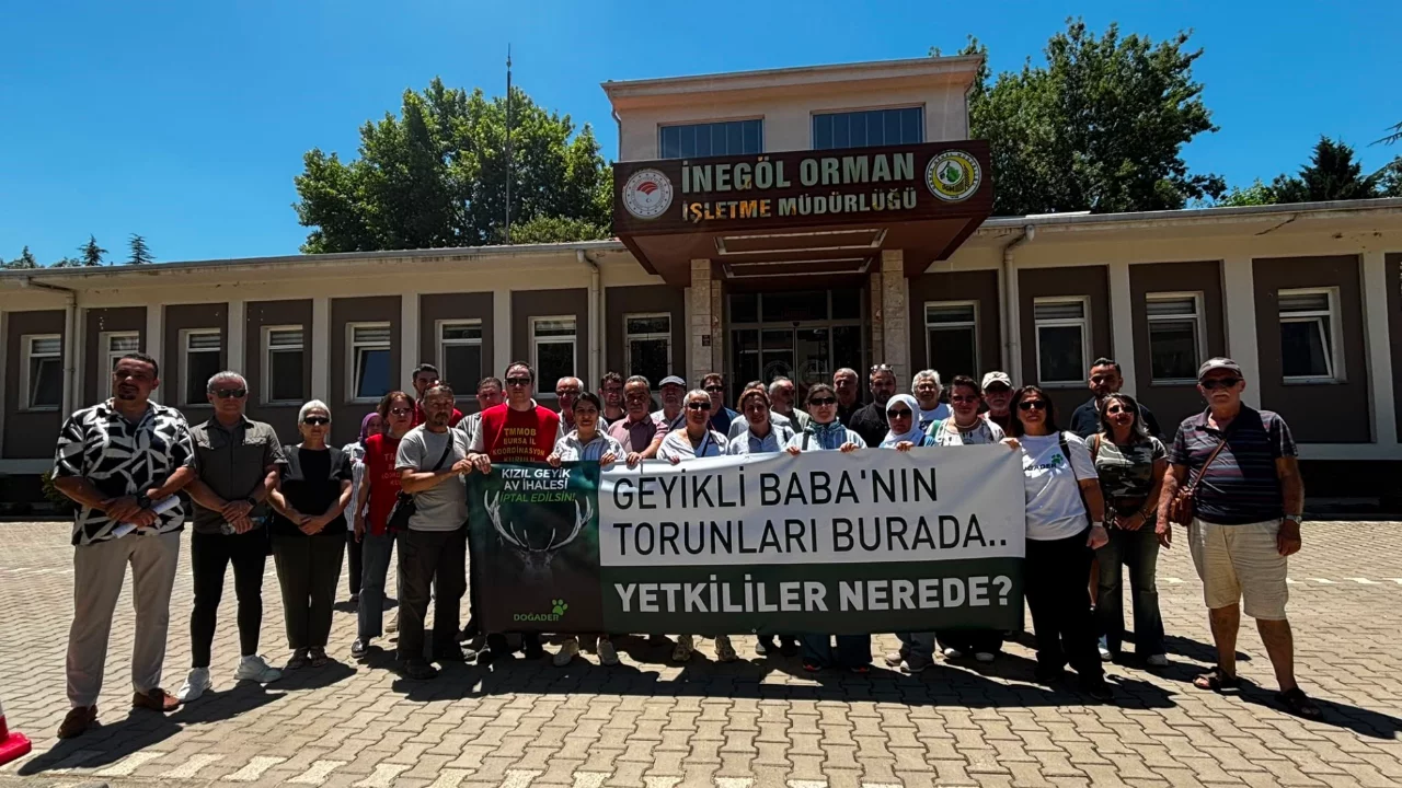 Bursa'da DOĞADER'den kızıl geyik ihalesine tepki: "Katliam kararı geri çekilsin"