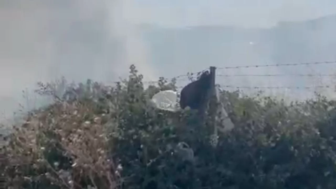 Bursa'da yangın paniği! Dumanlar etrafı kapladı