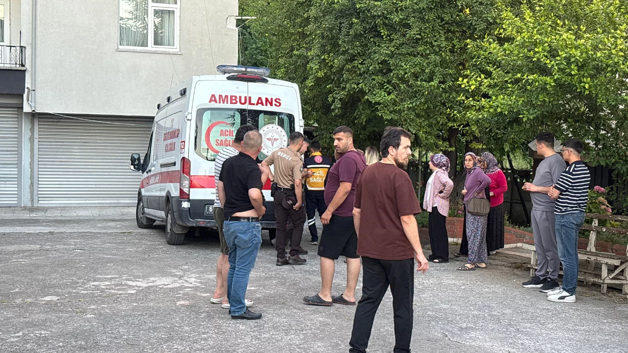 Dut toplarken ağaçtan düştü