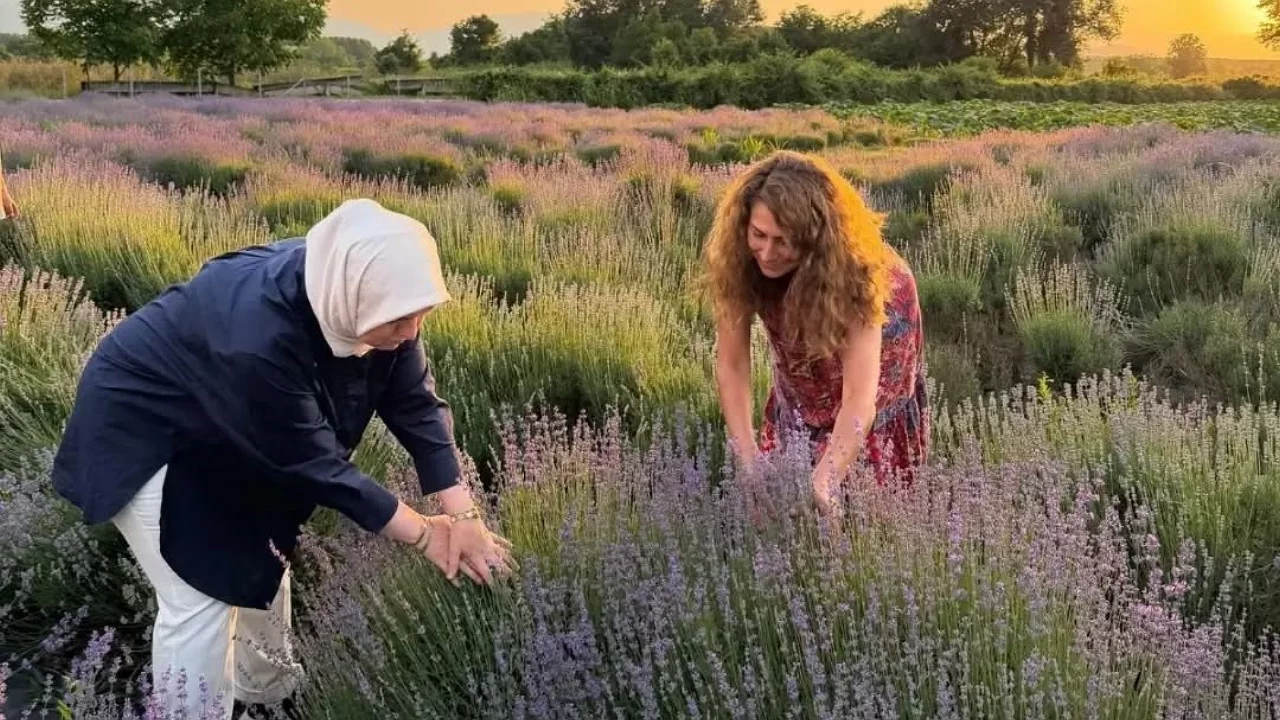 Kadın üreticinin başlattığı lavanta hikayesi bölgeye değer katıyor