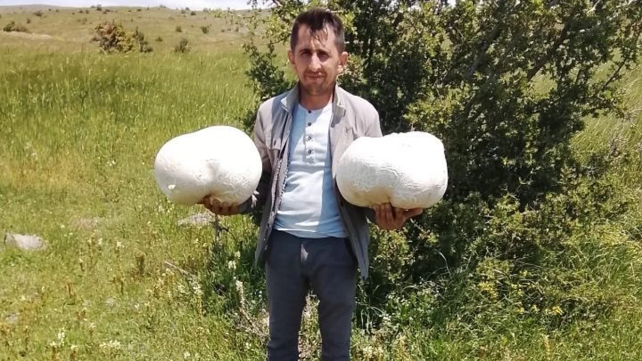 Doğada eşine nadir rastlanan olay! 