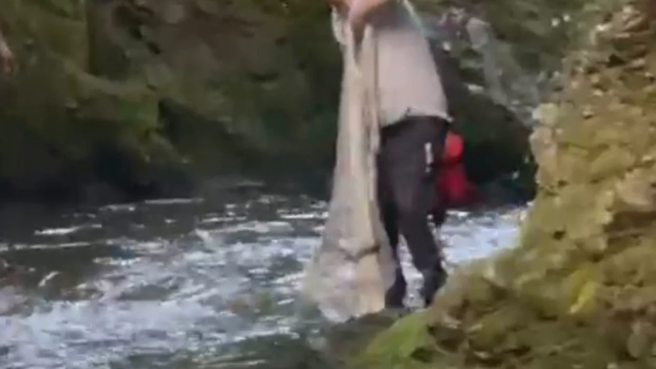 Bolu'da yasak dinlemeyen avcılar kamerada: Serpme ağ il...