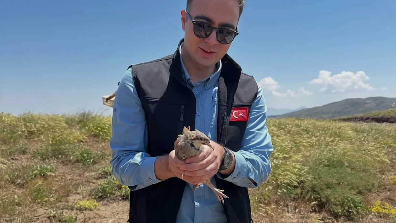 200 keklik doğaya salındı