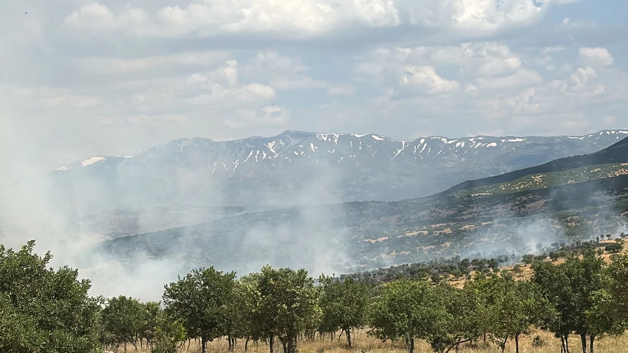Ormanlık alanda çıkan yangın büyümeden söndürüldü
