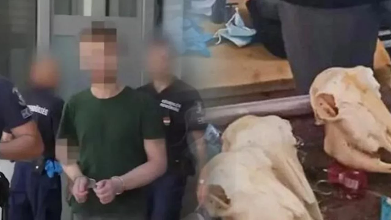 Avrupa'nın g&ouml;beğinde yamyamlık! "İnsan par&ccedil;alarından yemek hazırlayıp yedim"