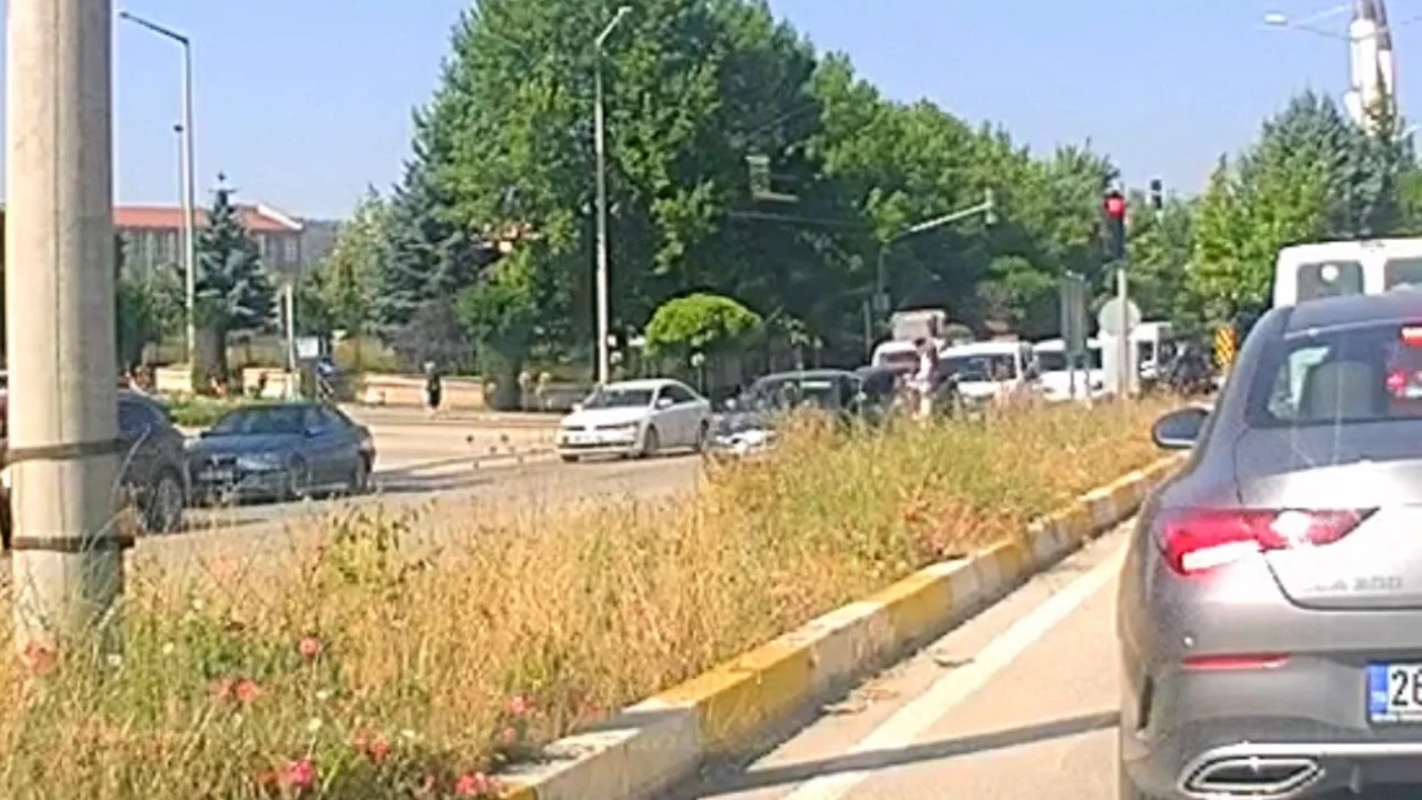 Yaşlı kadın olanlardan habersiz yoluna devam etti