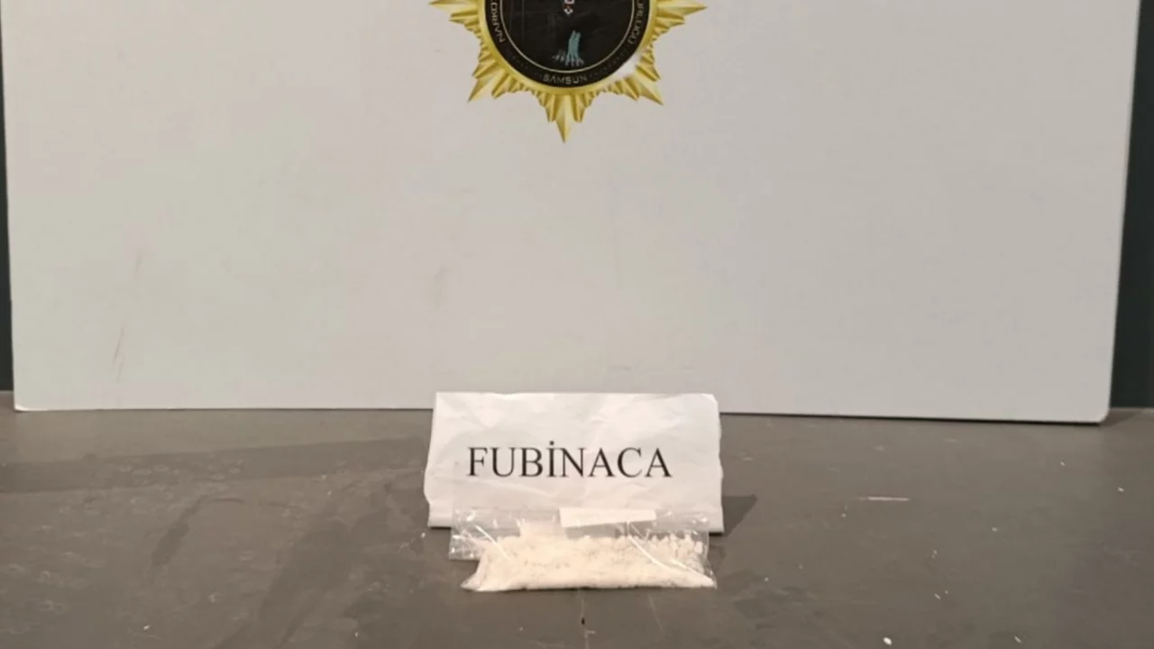 Samsun'da uyuşturucu operasyonunda 1 gözaltı