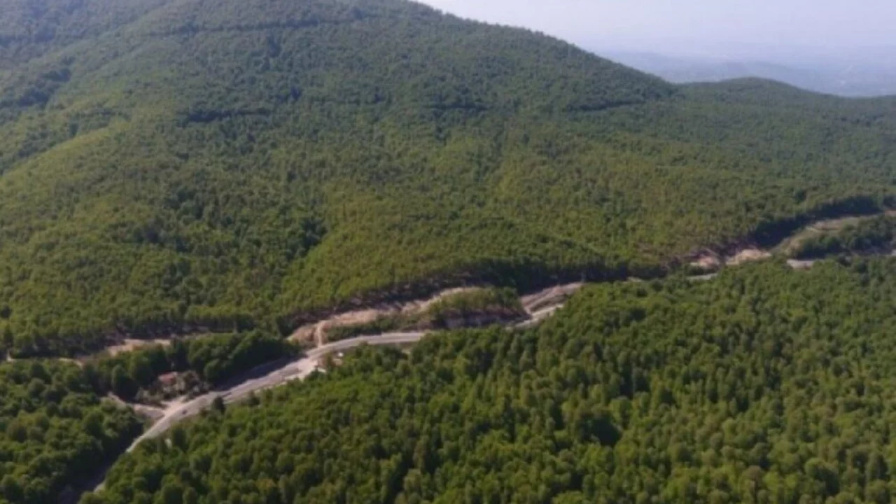 Bursa'da orman yangını riski artıyor! Uyarılar peş peşe...