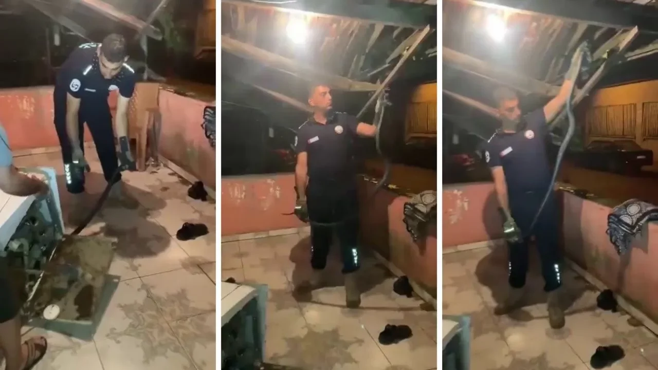 2 metrelik yılan bulaşık makinesinin i&ccedil;inden &ccedil;ıktı
