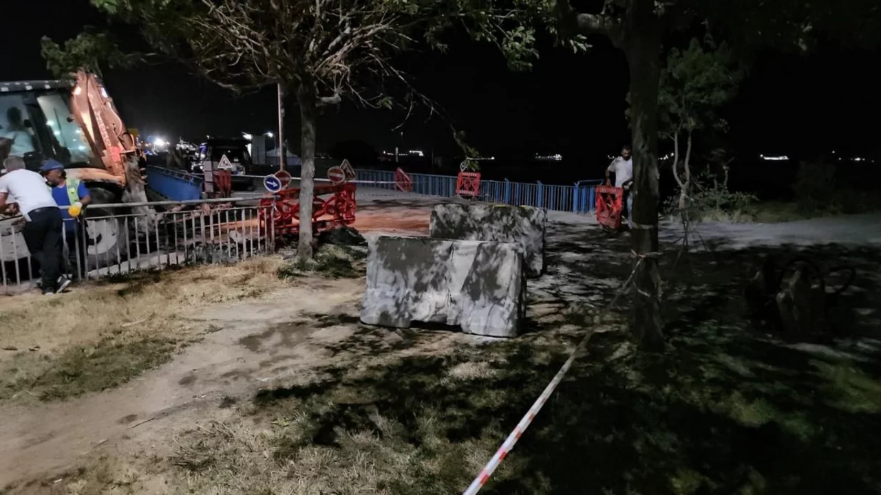 Korkutan görüntü! Toplu ölümler görüldü: AFAD inceleme başlattı