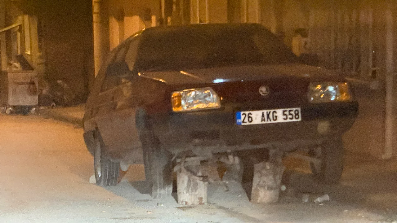 Otomobili k&uuml;t&uuml;klerin &uuml;zerine park ettiler, g&ouml;renler d&ouml;n&uuml;p bir daha baktı