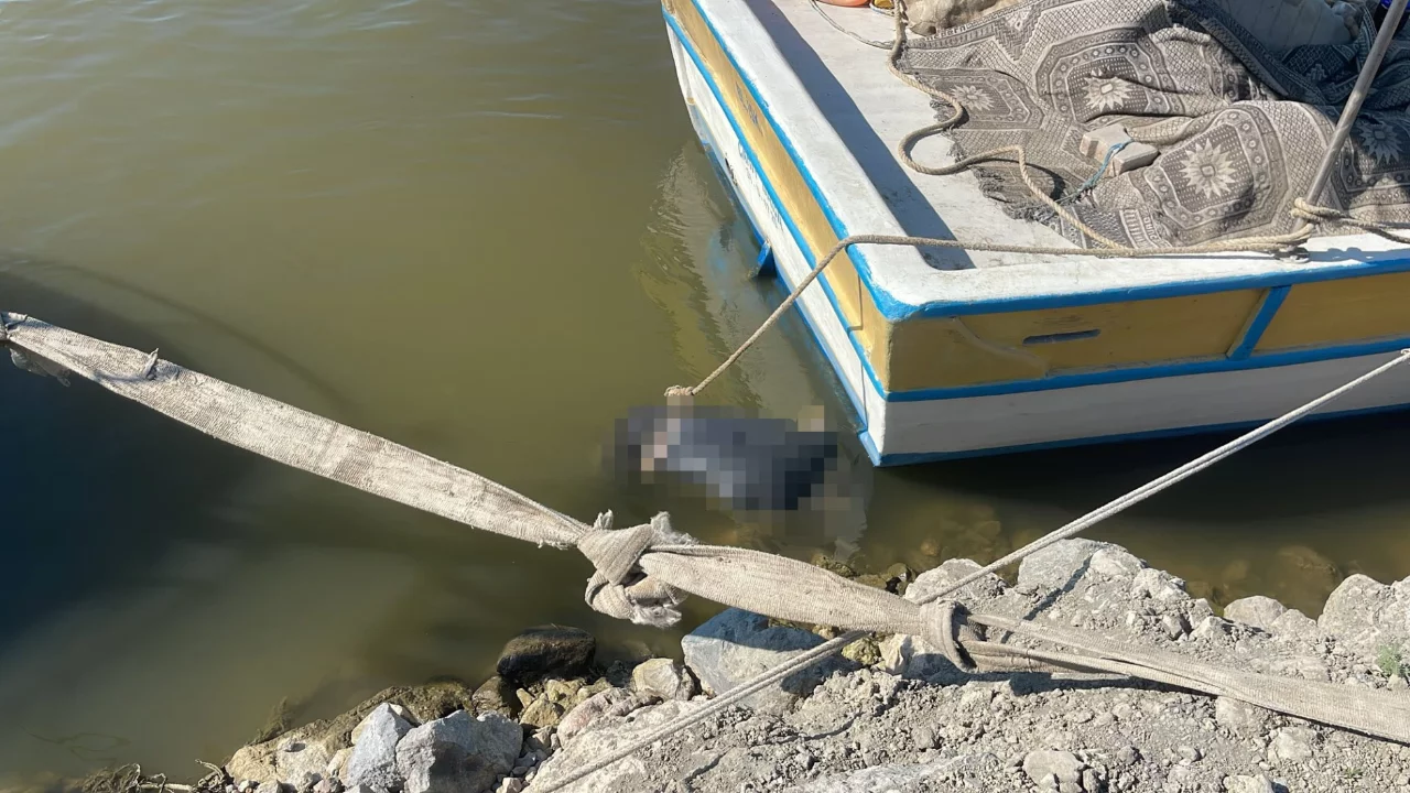 Asi Nehri'nde erkek cesedi bulundu! 