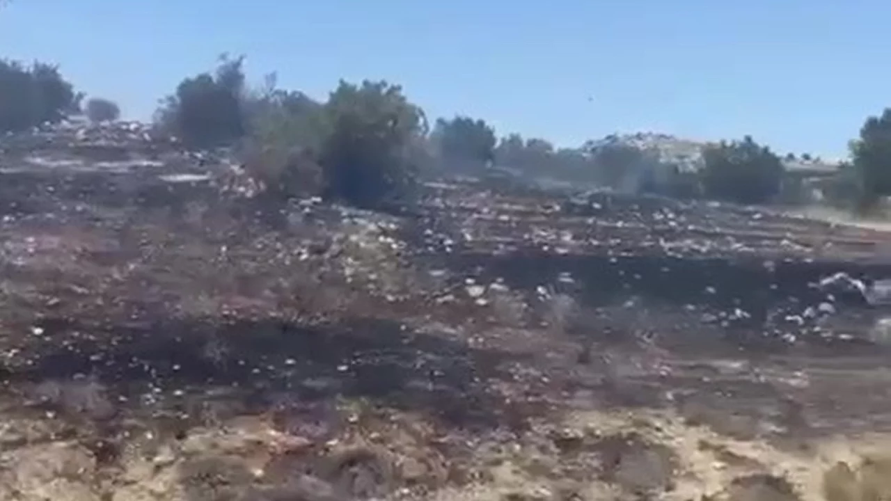 Korkutan orman yangını! Alevler dakikalar içinde yayılmadan kontrol altına alındı