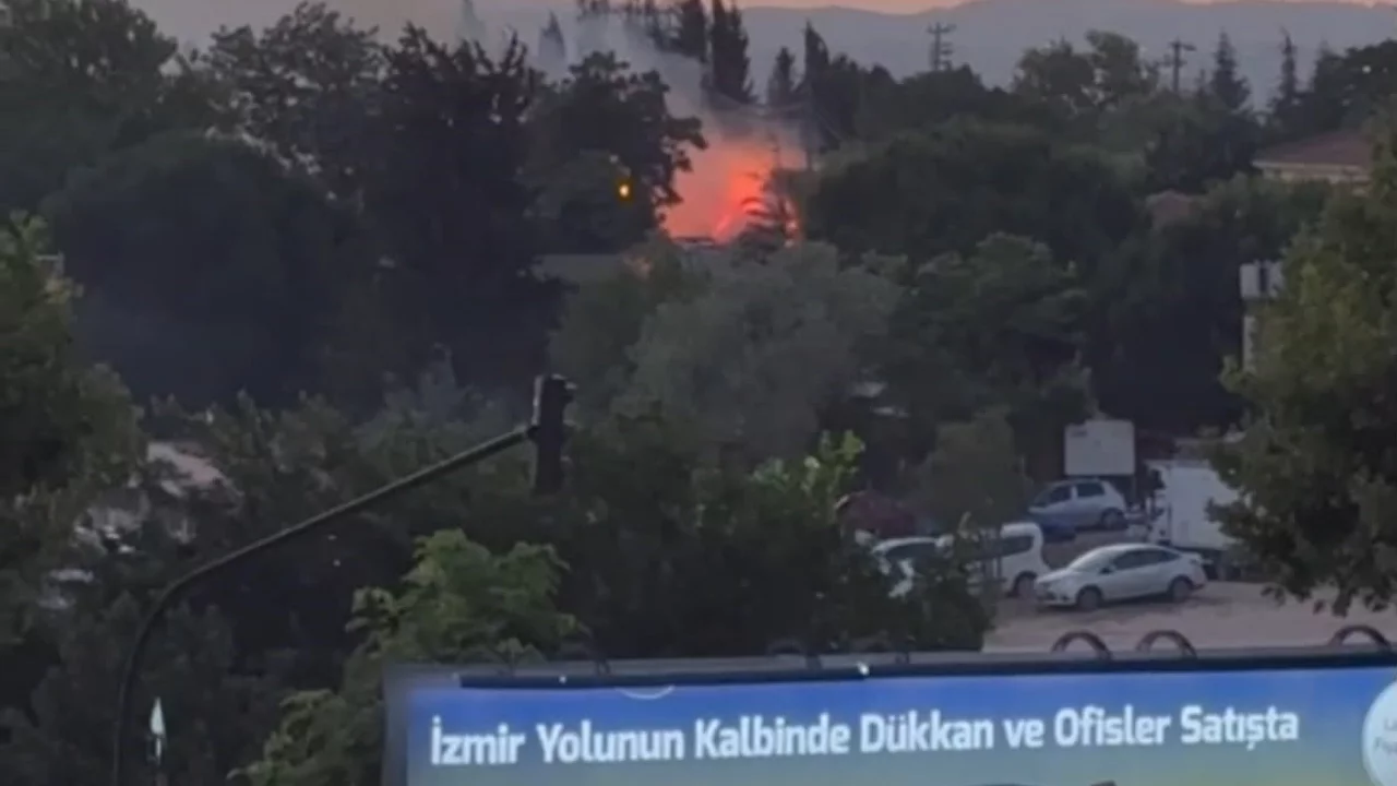 Bursa'da konser alanının yanında korkutan yangın!