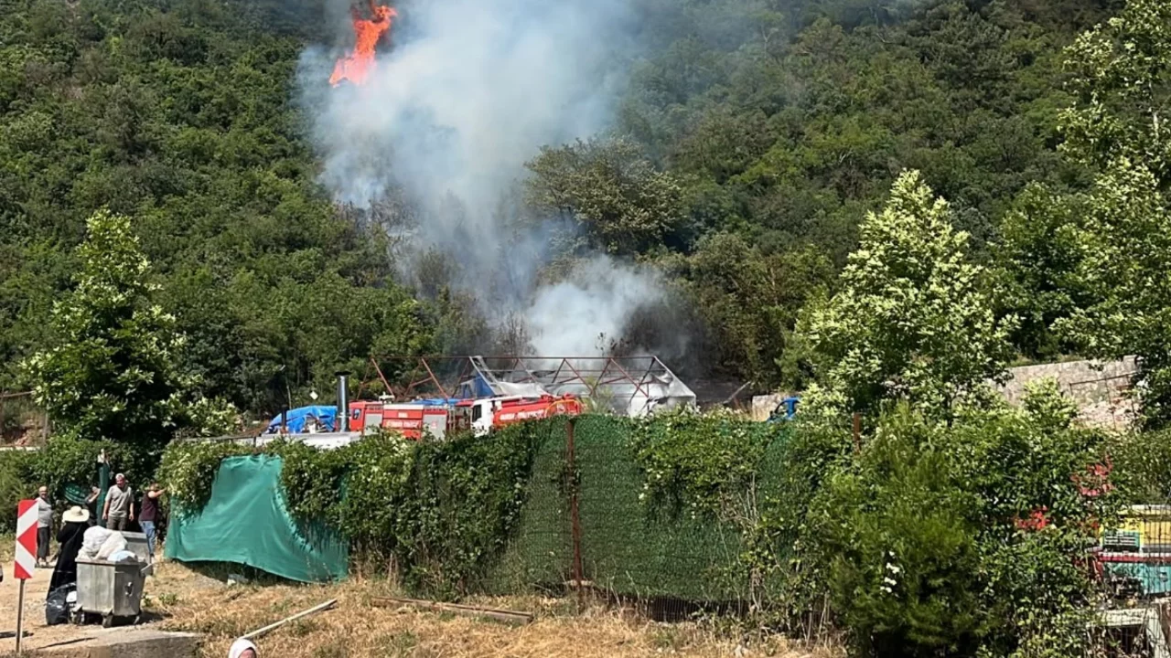 Bursa'da ormanlık alanda yangın! Çok sayıda ekip sevk edildi...