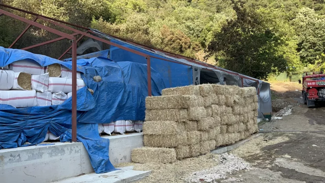 Bursa'daki orman yangını ile ilgili flaş gelişme! 1 kişi g&ouml;zaltına alındı...