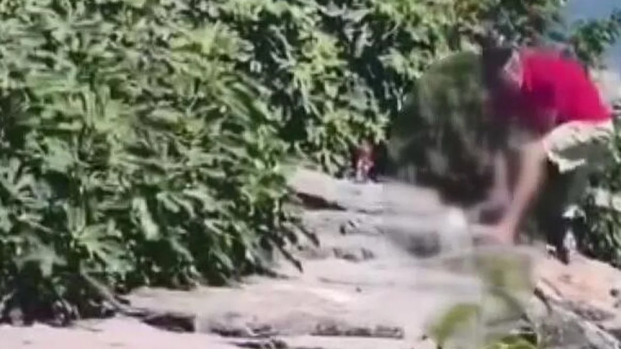 K&ouml;peğe şiddet uygulayan ş&uuml;pheli tutuklandı