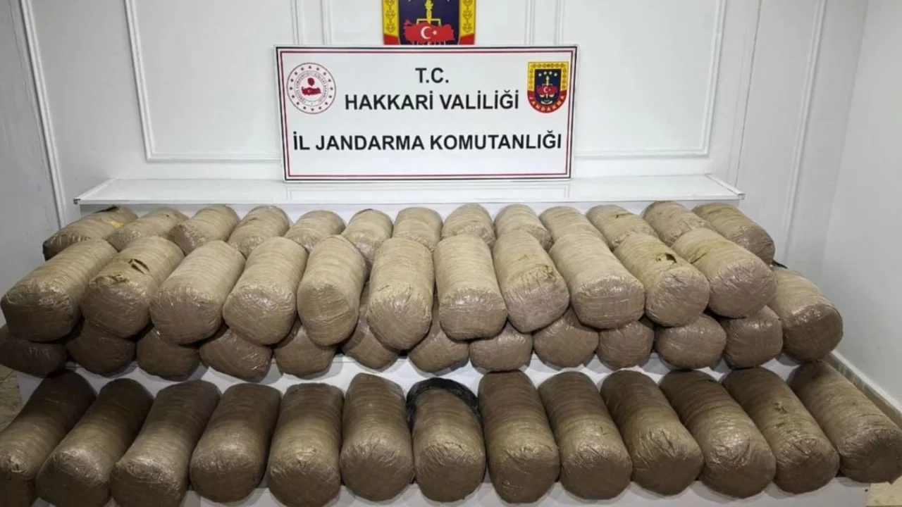 Jandarmadan operasyon! 503 kilogram esrar ele ge&ccedil;irildi