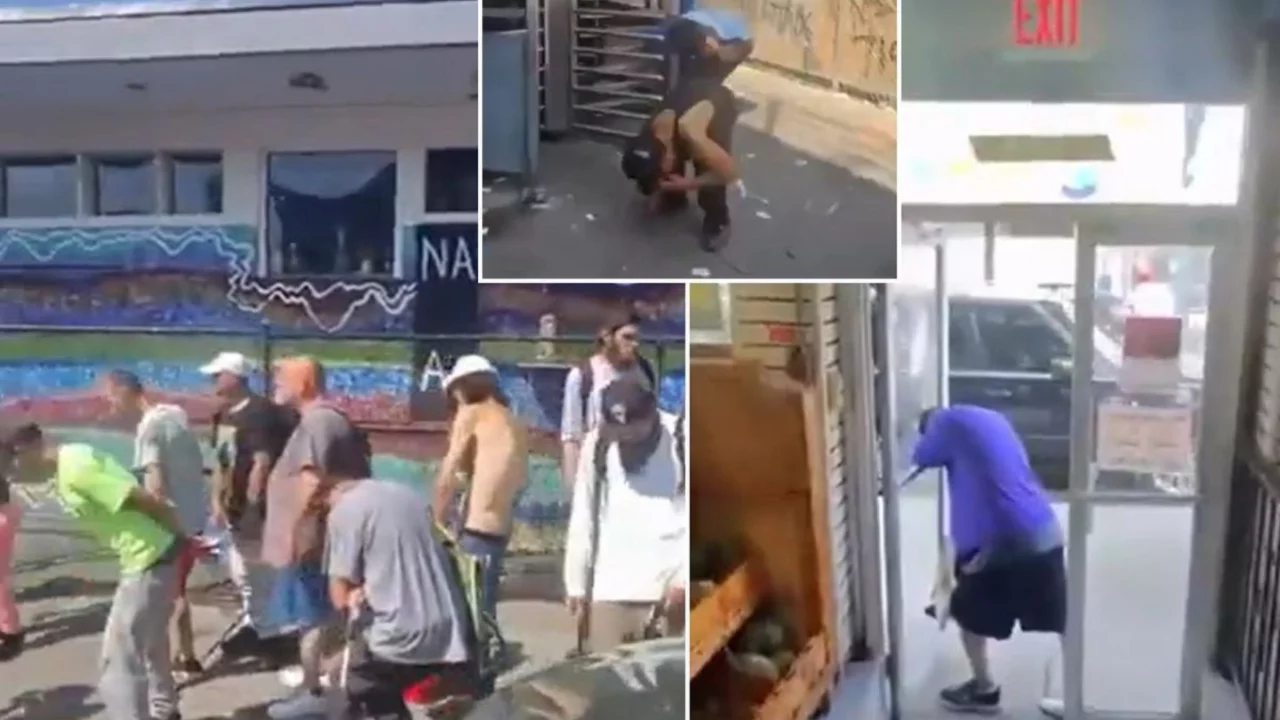 Dehşete d&uuml;ş&uuml;ren g&ouml;r&uuml;nt&uuml;! Sokaklar adeta yaşayan &ouml;l&uuml;lerle doldu