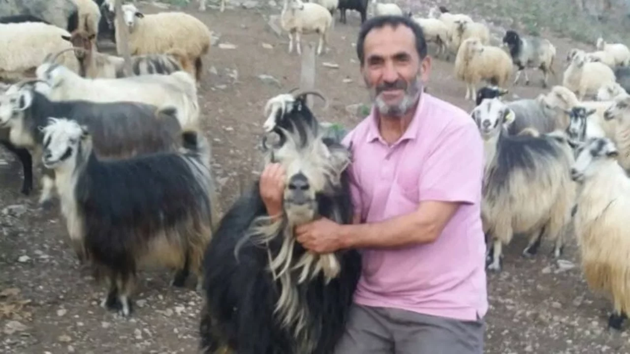 Şavşat Deresi'nde baba ve oğlunun cansız bedenlerine ulaşıldı