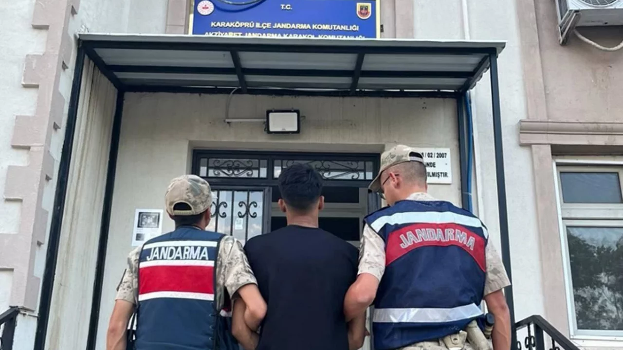 Şanlıurfa'da firari h&uuml;k&uuml;ml&uuml; jandarma operasyonuyla yakalandı