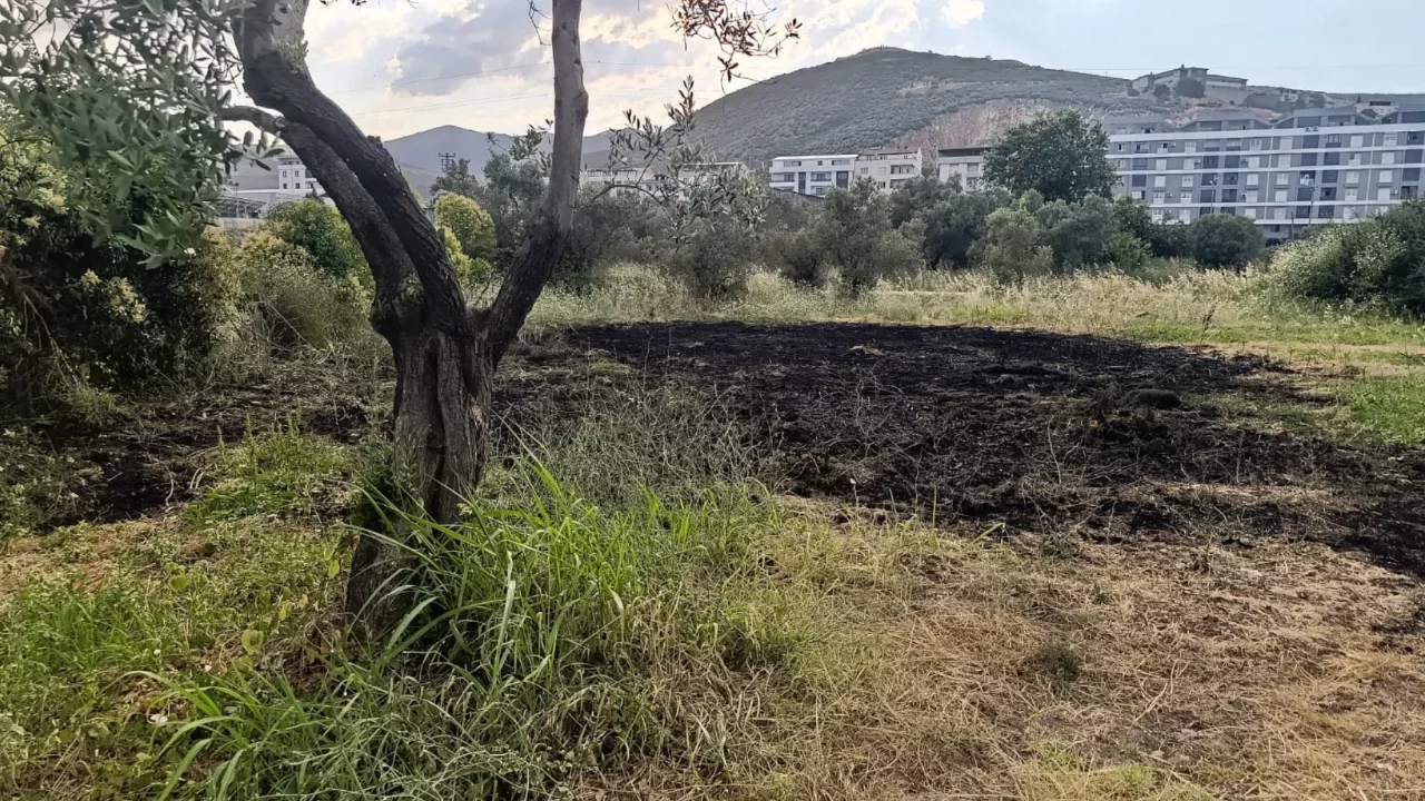 Bursa'da otluk alanda &ccedil;ıkan yangına hızlı m&uuml;dahale! Kısa s&uuml;rede kontrol altına alındı...