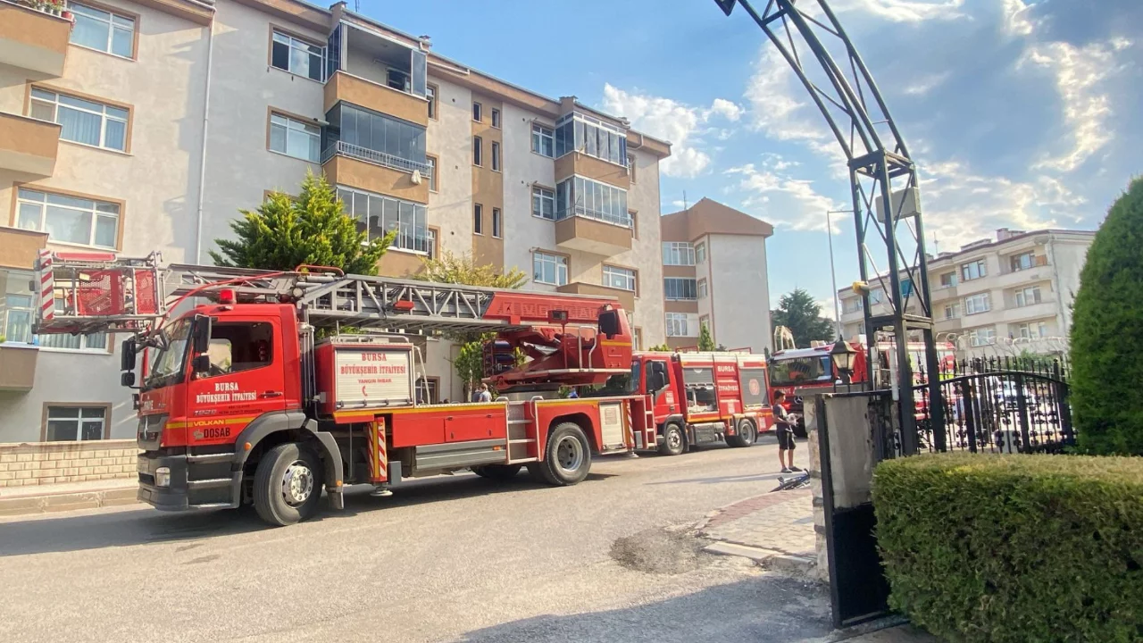 Bursa'da mucize kurtuluş! Anne kedi ve 2 yavrusuna hayat kurtaran m&uuml;dahale...