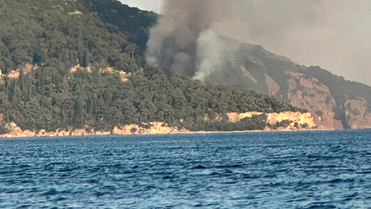 İstanbul Büyükada'da yangın paniği! 