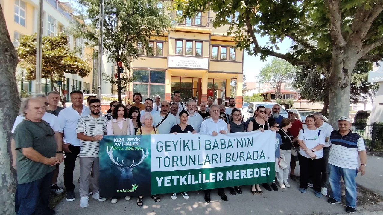 Bursa'da kızıl geyik avı tartışması b&uuml;y&uuml;yor