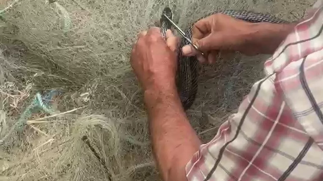 Balık ağına dolanan 1,5 metrelik yılan kurtarıldı