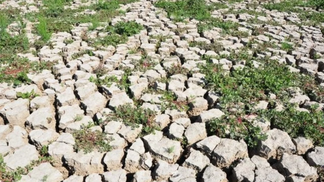 4 yıl önce kuruyan gölün son hali mest etti