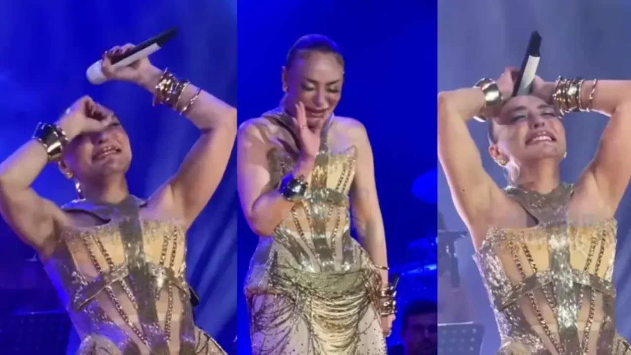 Ziynet Sali konserde g&ouml;zyaşlarına hakim olamadı