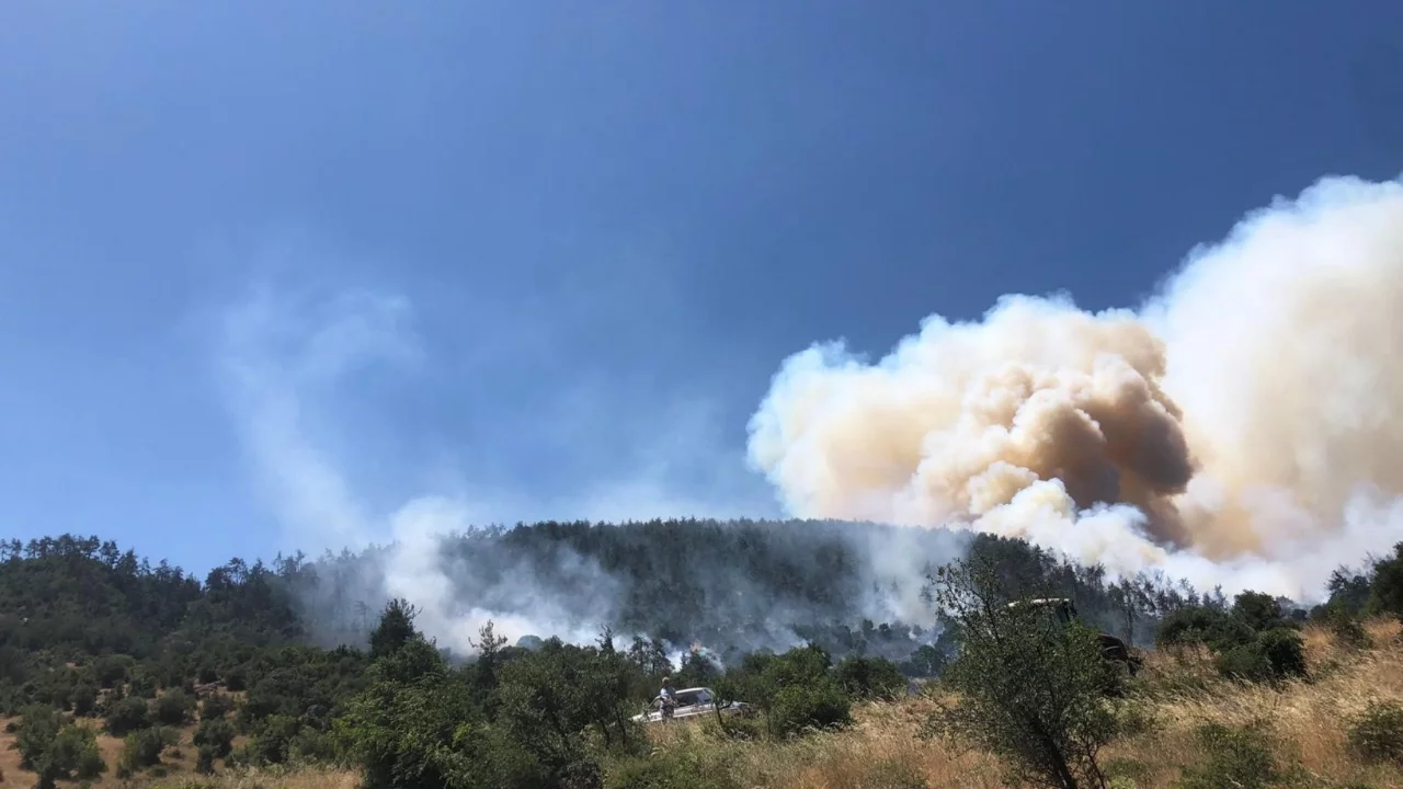 Balıkesir Kepsut'ta orman yangını