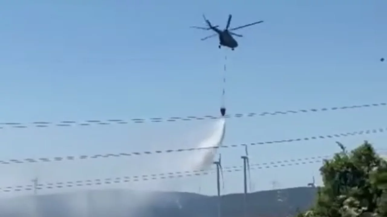 Bursa'da orman yangını! Havadan m&uuml;dahale başladı...