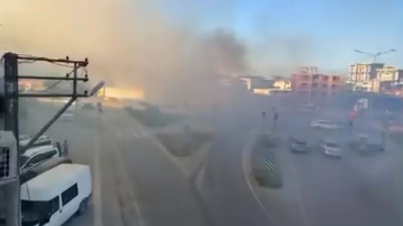 Bursa'da tarlada yangın! Dumandan göz gözü görmedi... 