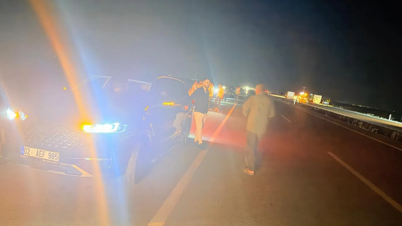 Adıyaman'daki trafik kazasında 12 küçükbaş hayvan telef oldu...