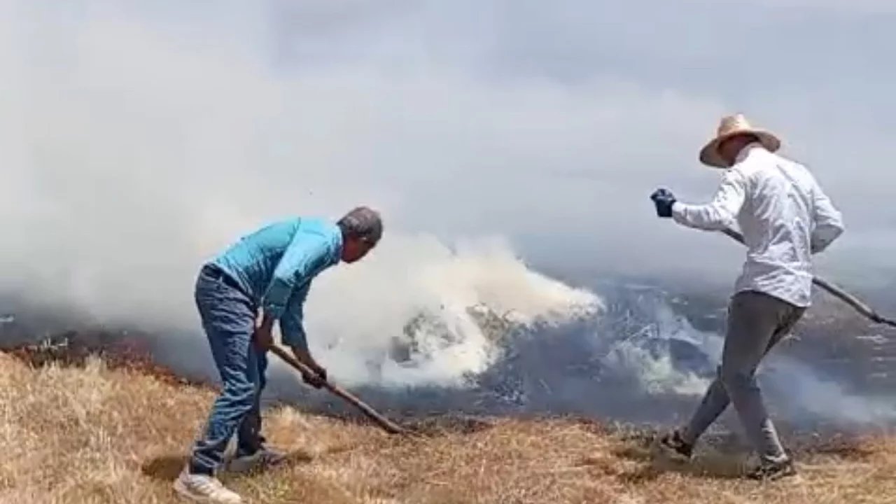 Tarım arazisinde büyük yangın! Yaklaşık bin balya ot kül oldu