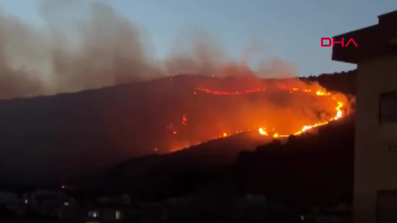 İzmir'de otluk alanda yangın &ccedil;ıktı! Ekiplerin m&uuml;dahalesi s&uuml;r&uuml;yor...