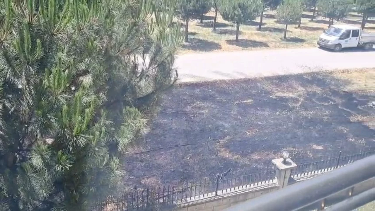 Bursa'da kuru otların dibinde akılalmaz olay! Bir kıvılcım yetti, mahalle ayağa kalktı