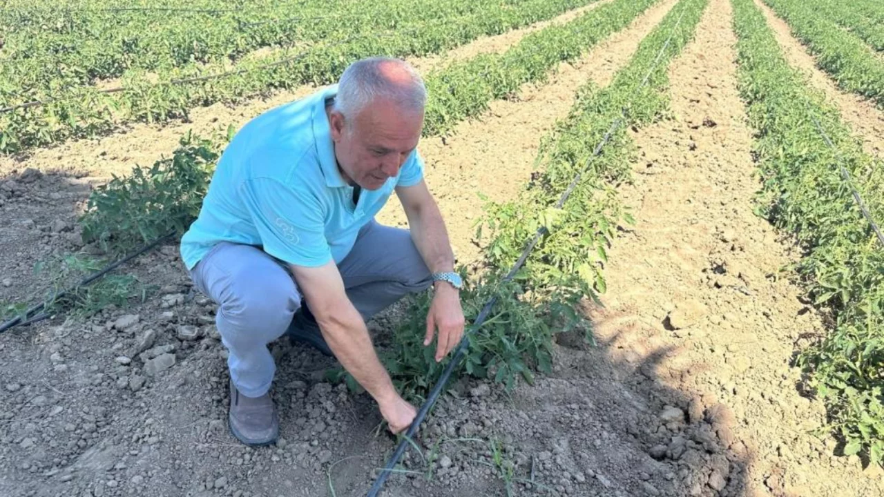 Bursa'da 'bugün, yarın' diyerek 20 milyon TL zarara soktular! Kulaklara küpe olacak uyarı