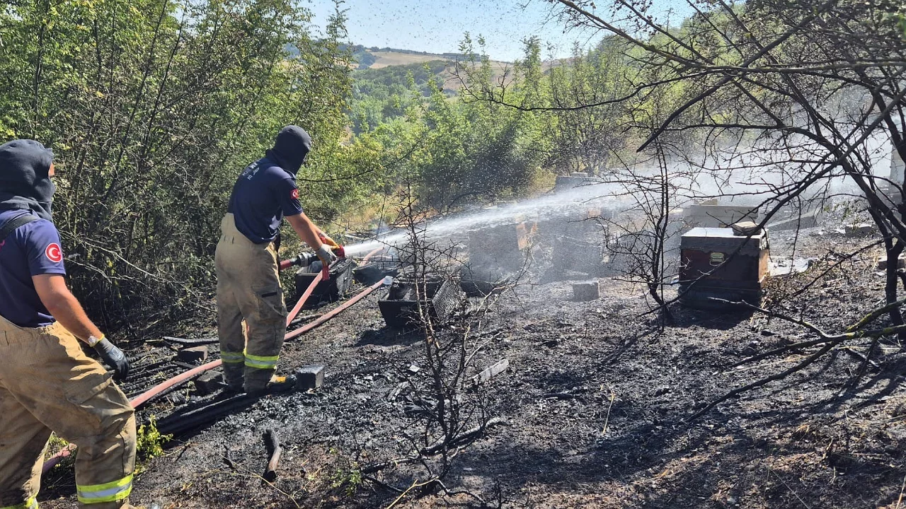 Çalılık yangını büyük zarara yol açtı! 85 arı kovanı alevlerde kül oldu
