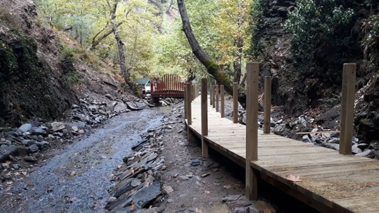 Bursa'da dev orman parkı 20 yıllığına kiraya verilecek! İhale tarihi ve şartları belli oldu