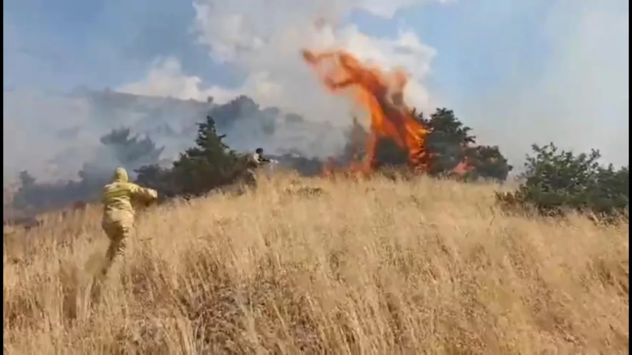 Bingöl'de ormanlık alanda çıkan örtü yangını kontrol altına alındı