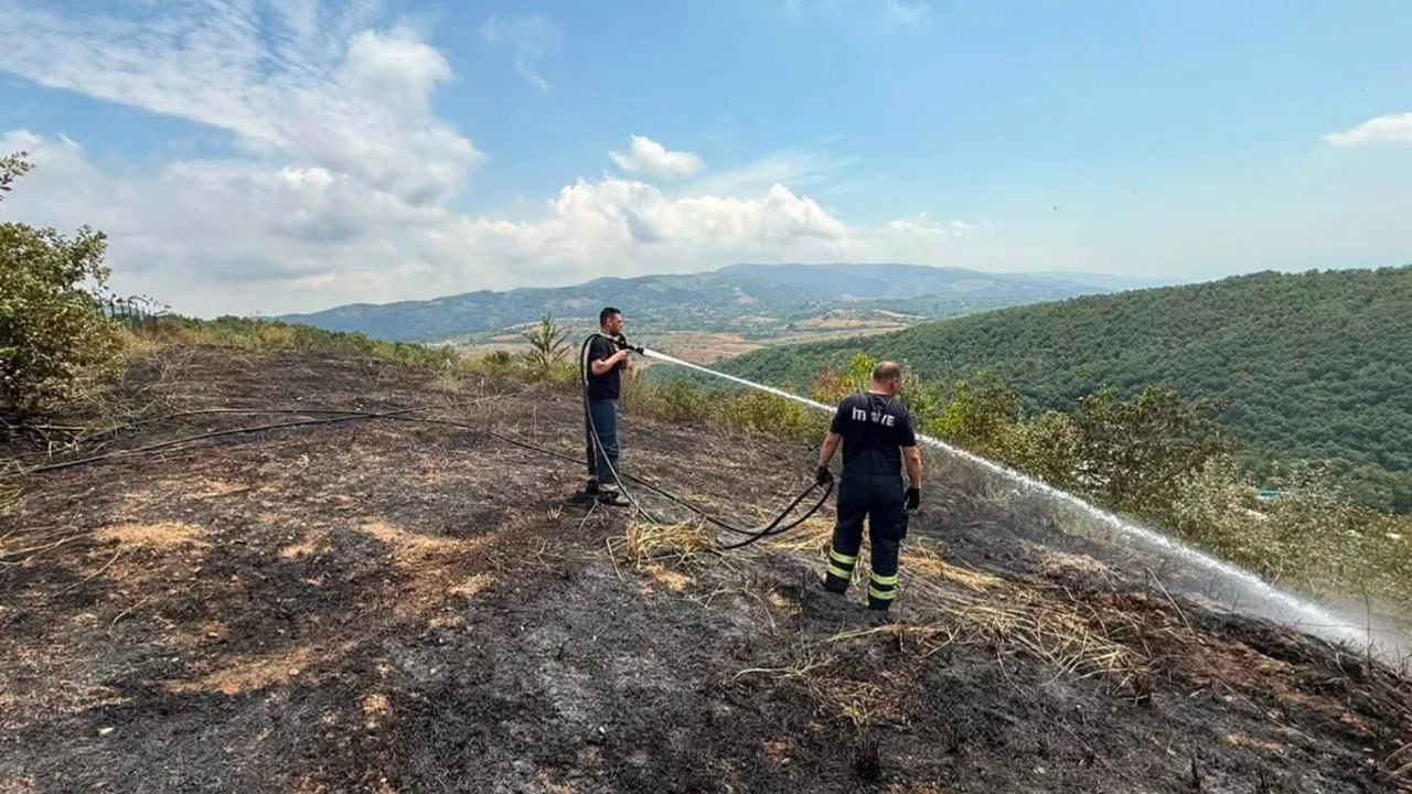 Orhangazi-Yalova sınırındaki meyve bahçesinde korkutan yangın!