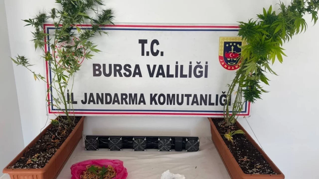 Bursa İl Jandarma Komutanlığı'ndan uyuşturucu operasyonu!