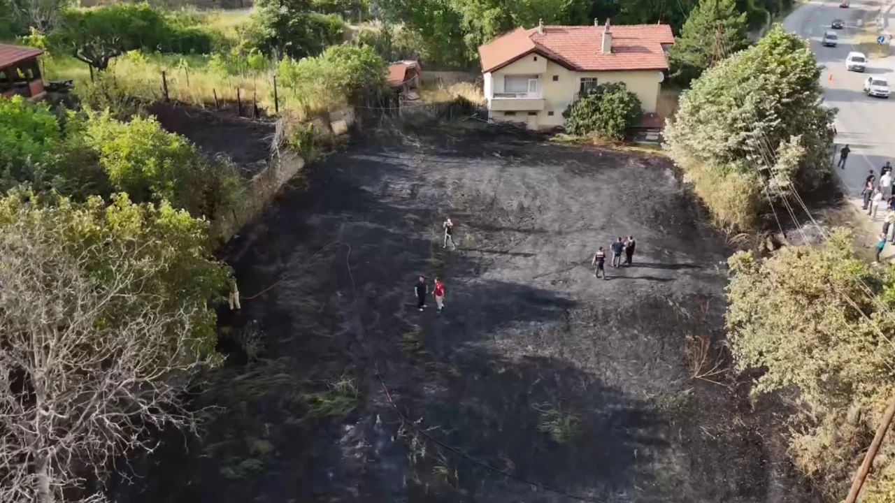 Alevlerin ortasında kalan kaplumbağa ve yavrularını jandarma kurtardı