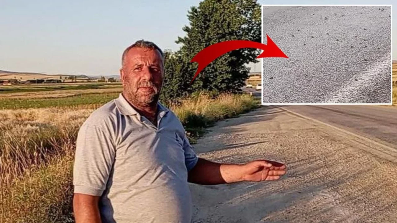 Binlercesi kara yolunu istila etti! S&uuml;r&uuml;c&uuml;ler neye uğradığın şaşırdı
