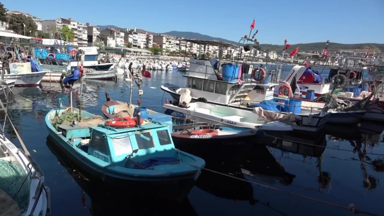 Bursa'da balıkçılar alarm verdi! Müsilaj ve bilinçsiz avcılık sektörü sarsıyor