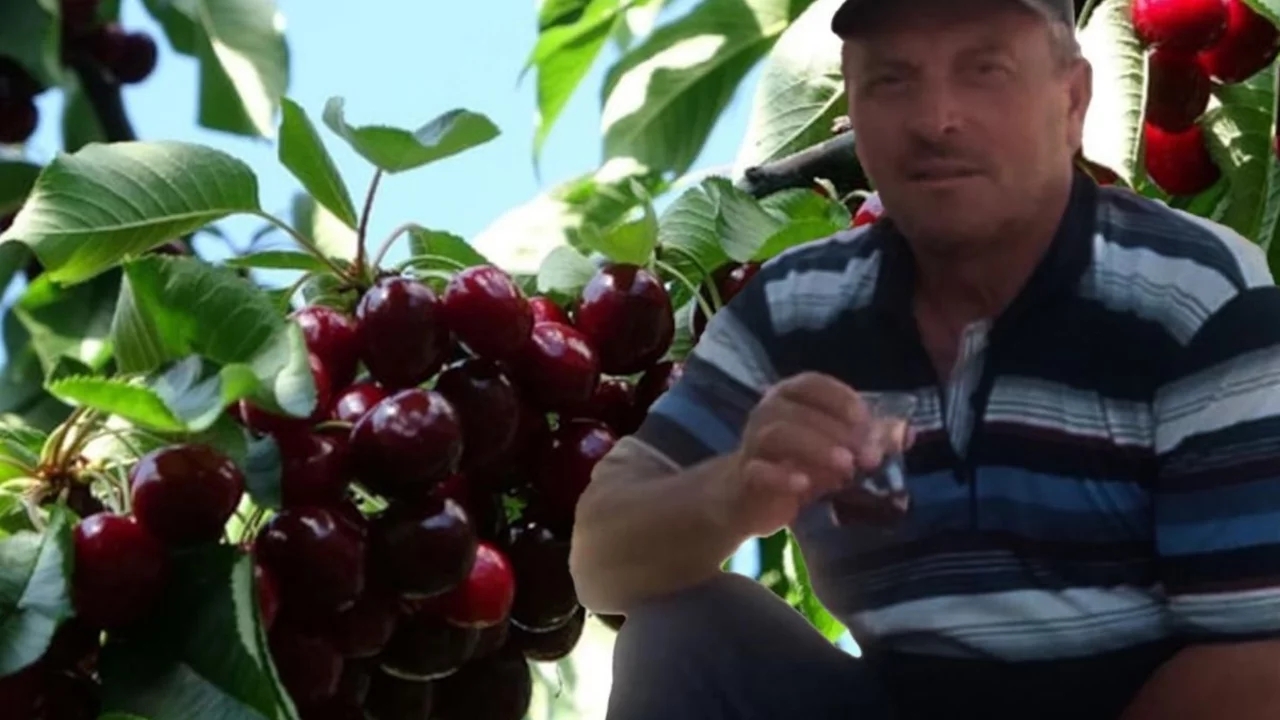 Yaşlı &ccedil;ifti kiraz mı &ouml;ld&uuml;rd&uuml;? Başkaları da yemiş
