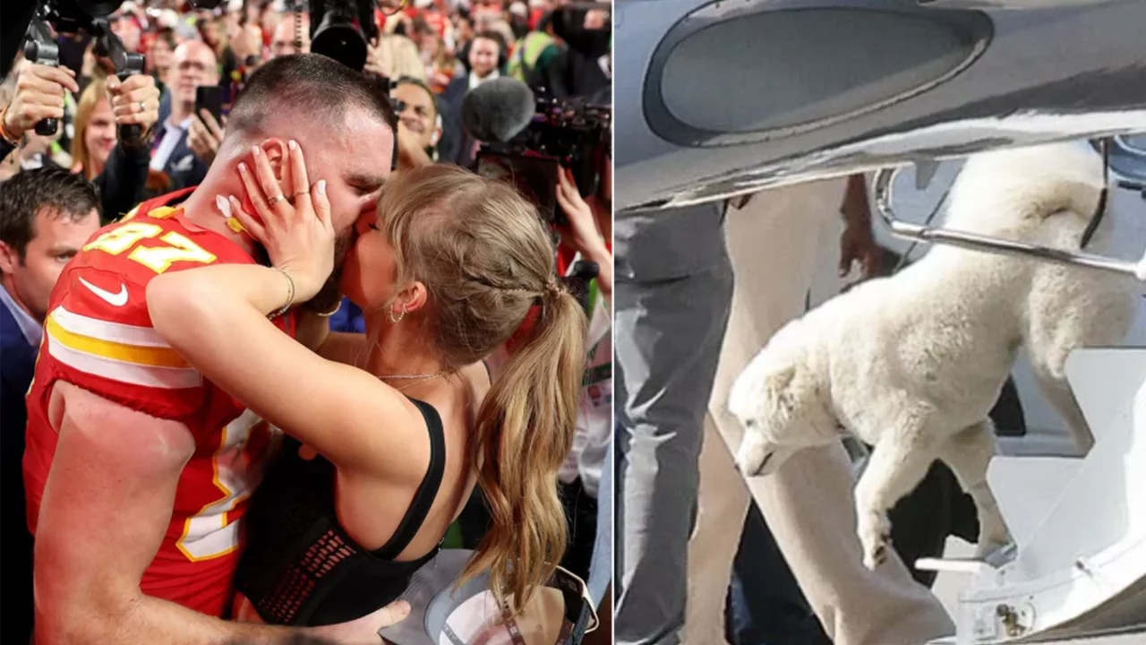Taylor Swift ve Travis Kelce'nin gizemli evcil hayvanı ortaya &ccedil;ıktı! İlk kez objektiflere yansıdı
